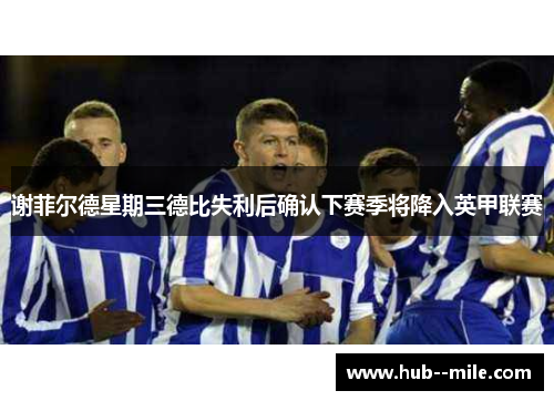 谢菲尔德星期三德比失利后确认下赛季将降入英甲联赛
